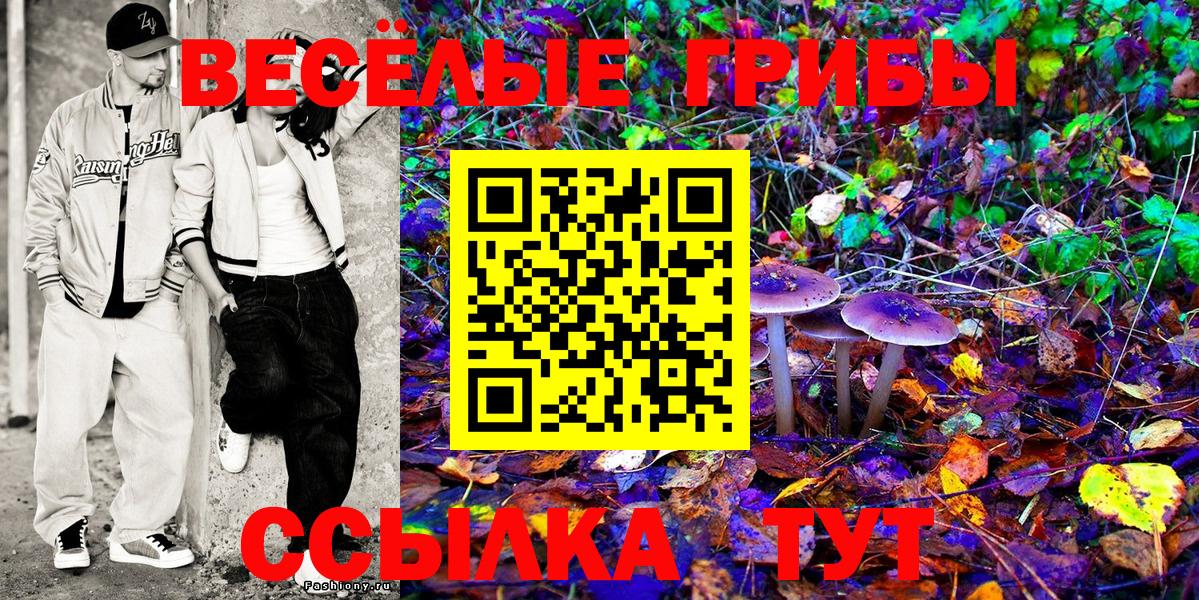 Галлюциногенные грибы GOLDEN TEACHER Троицк