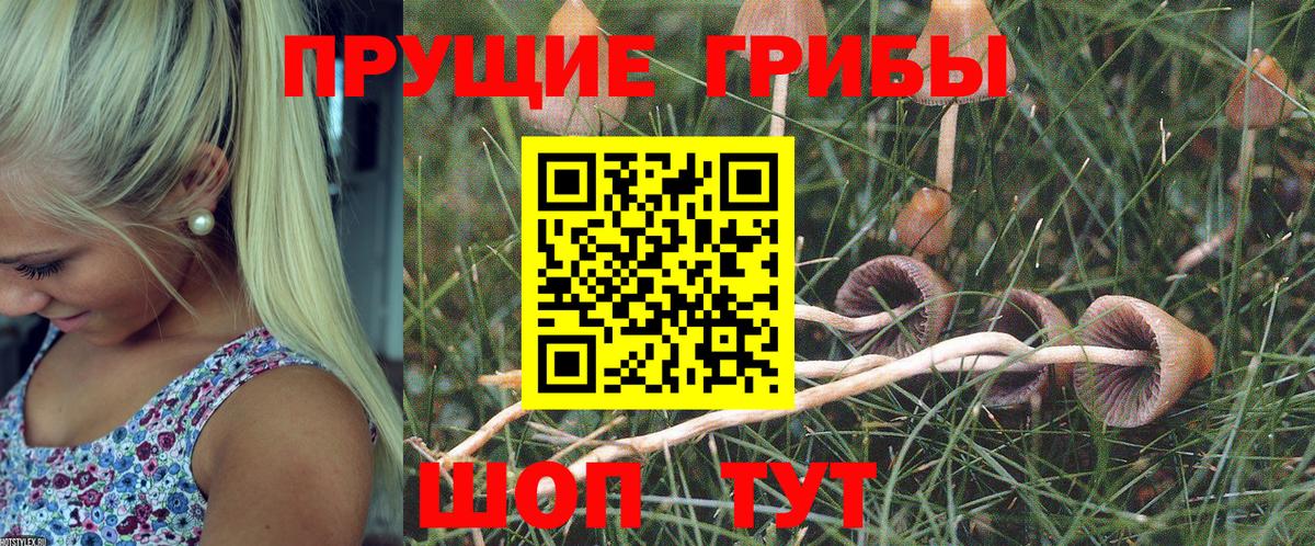 Галлюциногенные грибы мицелий  Вход с VPN  Троицк  Галлюциногенные грибы ЛСД 